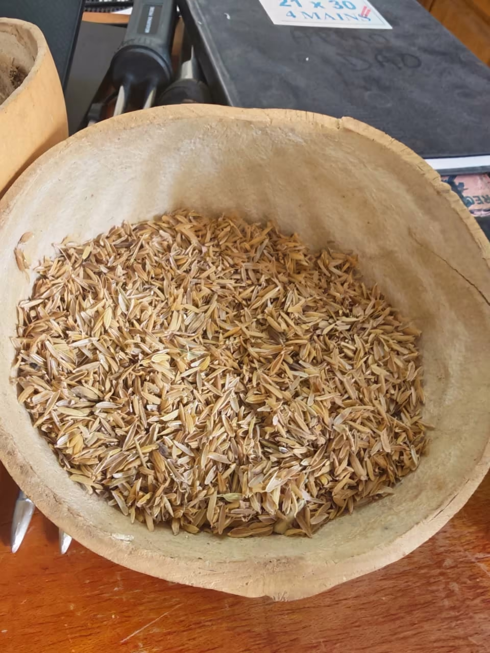 Riz paddy dans une calebasse