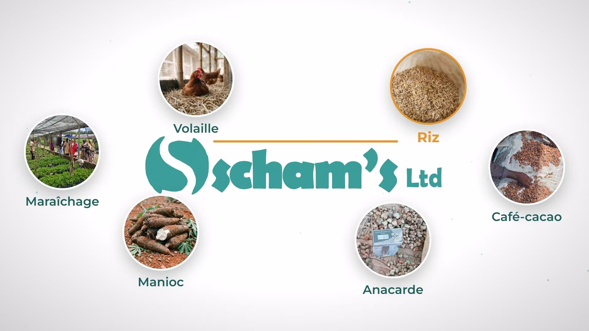 Couverture du film : le logo de Scham’s Ltd entouré de six filières, volaille, riz, café-cacao, anacarde, manioc et maraîchage